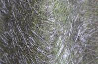 Callerton fibreglass roof work